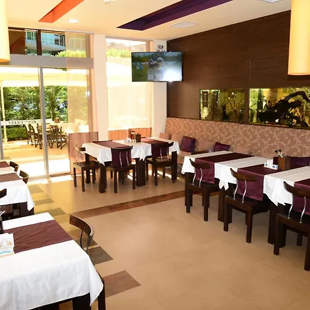 North 2* プリモルスコ